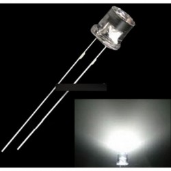 500db 5MM 2PIN Flat Top fehér LED izzó dióda