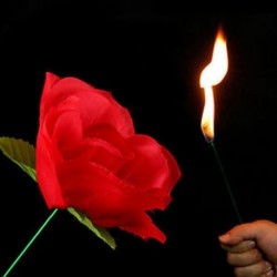 New Stage Közelről Magic Trick Torch Rose a tűz trükkök Láng megjelenő virág