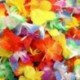 2X (8x hawaii lei nyakkoszorú, party táska kitöltő, jelmez, Tropical &amp  b W6U4