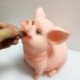 Divat Pig Pig Bank Dekoráció Otthoni Nappali szoba Hálószoba törésálló Coi W0R7