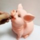 6X (Divatos Pig Pig Bank Dekoráció otthoni nappali szoba hálószoba törésgátló X9H5