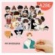 A286 - 26db-os BTS matrica szett - a banda tagok rajzolt formában - KPOP - BTS - Bangtan Boys