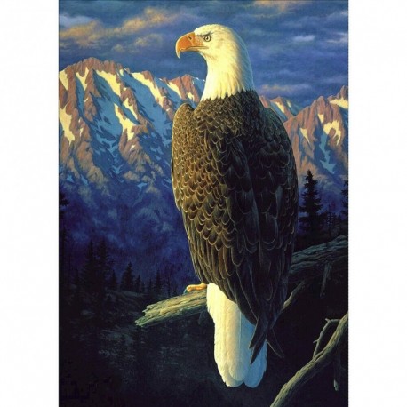 Nincs szín - DIY 5D rajz teljes körű fúró súlyos sas készlet gyémánt festmény dísz