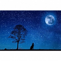 Nincs szín - Art 5D készlet mozaik DIY gyémánt teljes körű fúrócsillag égbolt fal dekoráció festés