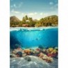Nincs szín - Teljes fúró kerek gyémántfestés tenger alatti világ mozaik kép gyöngy kézműves