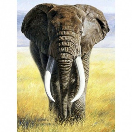 2 * Elefant 30 * 40cm - Art teljes körű fúró kép elefánt 5D készlet DIY gyémánt festmény rajz