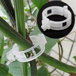 Nincs szín - 50 db paradicsom klip rácsos kerti növény virág zöldség kötőanyag zsineg növény