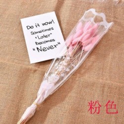 Rózsaszín - 20db természetes szárított virág csokrok farka nyúl farok fű Lagurus Ovatus US ~