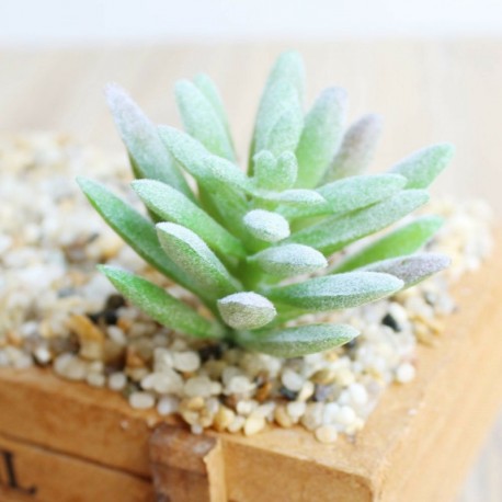 4 * - Szimuláció Mini műanyag miniatűr pozsgás növények Kert Home Office Decor UK