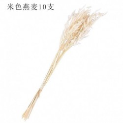 Beach White - 10db természetes szárított vadzab csokor virágos kijelző DIY otthoni esküvői ajándék dekoráció