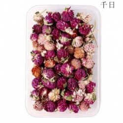 Közös földgömb-amarant - Művészeti ékszer epoxigyanta kézműves 1Box valódi szárított virágok medál dekoráció